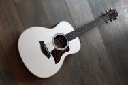 TAYLOR GS Mini-e Special Edition, Trans White, GIGBAG