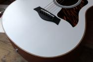 TAYLOR GS Mini-e Special Edition, Trans White, GIGBAG