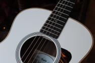 TAYLOR GS Mini-e Special Edition, Trans White, GIGBAG