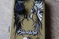 VS Audio Blackbird