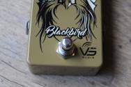 VS Audio Blackbird