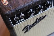FENDER '65 Deluxe Reverb Ltd ,Western
