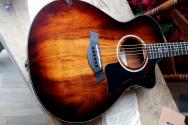 TAYLOR 222ce KOA Deluxe, HARDCASE