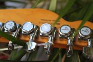 FENDER American Ultra Luxe Telecaster,Transparent Green