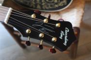 RECORDING KING Justin Townes Earle Signature Model Guitar