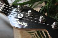 SQUIER Paranormal Rascal Bass HH, Metallic Black