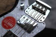SQUIER Paranormal Rascal Bass HH, Metallic Black