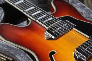 EASTMAN "Limited Chrome Pickups T-64- V-T Gold Burst" HARDCASE, 2, 51 KG
