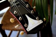 EPIPHONE Crestwood Custom Cherry, Cherry 3, 17 KG