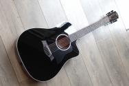 TAYLOR 250ce-BLK Plus, AEROCASE