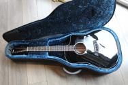 TAYLOR 250ce-BLK Plus, AEROCASE
