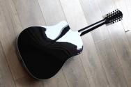 TAYLOR 250ce-BLK Plus, AEROCASE