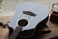 TAYLOR 250ce-BLK Plus, AEROCASE