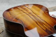TAYLOR 214ce African Ziricote Plus Special Edition, HARDCASE