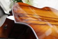 TAYLOR 214ce African Ziricote Plus Special Edition, HARDCASE