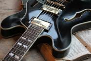EASTMAN LIMITED 50 pieces ONLY T59/TV-B Limited Edition, Gold Hardware HARDCASE, 3, 94 KG
