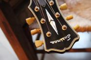 EASTMAN LIMITED 50 pieces ONLY T59/TV-B Limited Edition, Gold Hardware HARDCASE, 3, 94 KG