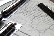DANELECTRO Sitar White Crackle