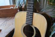 MARTIN D-28, Golden Era, HARDCASE