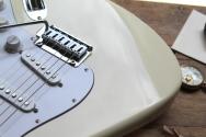 FENDER Standard Stratocaster, Olympic White 3, 82 KG