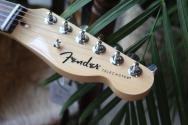 FENDER Standard Telecaster , Laurel, 3 Tone Sunburst, 3, 49 KG