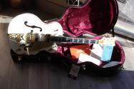 GRETSCH G6136-55 Vintage Select '55 Falcon, Vintage White, HARDCASE