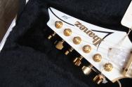 IBANEZ JEM7V White (F0713097) with her papers and original Hardcase, 3, 59 KG