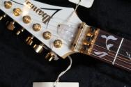IBANEZ JEM7V White (F0713097) with her papers and original Hardcase, 3, 59 KG