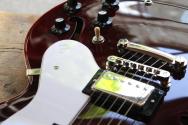 EPIPHONE "Noel Gallagher Riviera Dark Wine Red" HARDCASE
