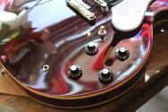 EPIPHONE "Noel Gallagher Riviera Dark Wine Red" HARDCASE