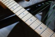 FENDER Player Plus Stratocaster®, Maple Fingerboard, Tequila Sunrise, GIGBAG, 3, 90 KG