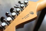 FENDER Player Plus Stratocaster®, Maple Fingerboard, Tequila Sunrise, GIGBAG, 3, 90 KG
