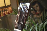 MARTIN 000-EC 30th Anniversary, HARDCASE