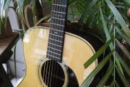 MARTIN 000-EC 30th Anniversary, HARDCASE