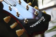 EASTMAN "T386 Red True Tone Gloss" HARDCASE, 3, 56 KG