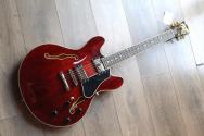 EASTMAN "T386 Classic True Tone Gloss"HARDCASE