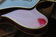 EASTMAN "T386 Classic True Tone Gloss"HARDCASE