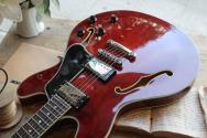 EASTMAN "T386 Classic True Tone Gloss"HARDCASE