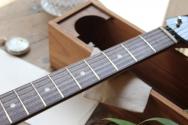 FENDER "Made in Japan Limited Starmaster, Rosewood Fingerboard, Black" GIGBAG