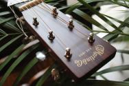 MARTIN "000-17" HARDCASE