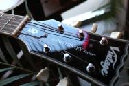 VINTAGE "Limited Green Sparkle VS6 ReIssued Vibrola Tailpiece" GIGBAG, 3, 68 KG