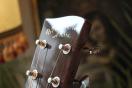 RECORDING KING "RD-328 Dreadnought"
