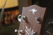 MATON "EBG808TE Tommy Emmanuel" HARDCASE