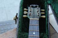 MAYBACH "Lester JR Single Cut Special Edition for Estudio 54 in Miami Green Color" HARDCASE, 3, 10 KG