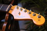 FENDER "NEW MODEL American Professional Classic Stratocaster" GIGBAG, PAPERS