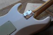 FENDER "Am Pro Cls Strat, LIMITED, Olympic Pearl " GIGBAG, 3, 72 KG