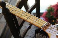 Sire "Marcus MIller P5 4-String Color Metallic Gold" 4, 00 KG