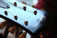 EASTMAN "SB58/TV Limited Edition VIntage Sunburst" HARDCASE, 3, 78 KG