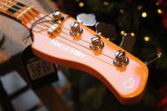 SIRE MARCUS MILLER "V7 5-String Redburst Sparkle (New Gen)"