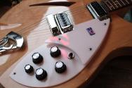 RICKENBACKER "330 Mapleglo Year 2006" HARDCASE, PAPERS